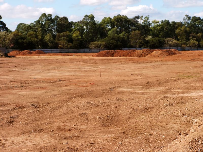 Summer Land Clearing