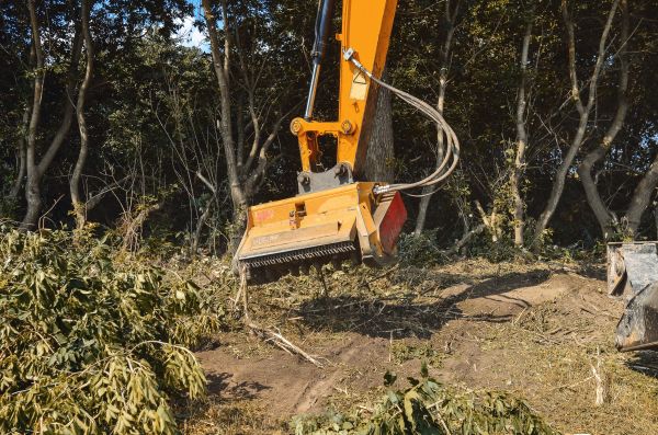 Cost of Brush Removal Service in Greeley