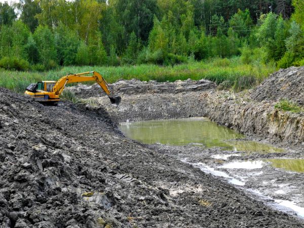 Cost of Lake Lot Clearing in Greeley